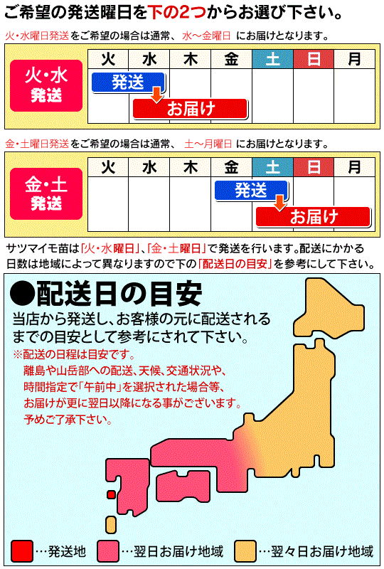 2023年予約販売中】サツマイモ苗 紅はるか （切苗100本）<br>[農林水産