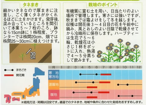 ハーブ種　カモミール(1ml)