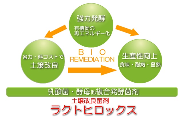 2袋までメール便発送可】土壌改良剤 ラクトヒロックス（400g） | 土・肥料・土壌改良剤なら、みつのぶオンラインショップ