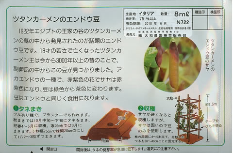 えんどう種　ツタンカーメンのエンドウ豆の花　（8ml）