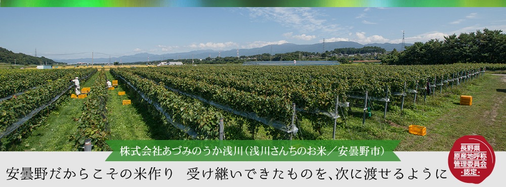 あづみのうか浅川