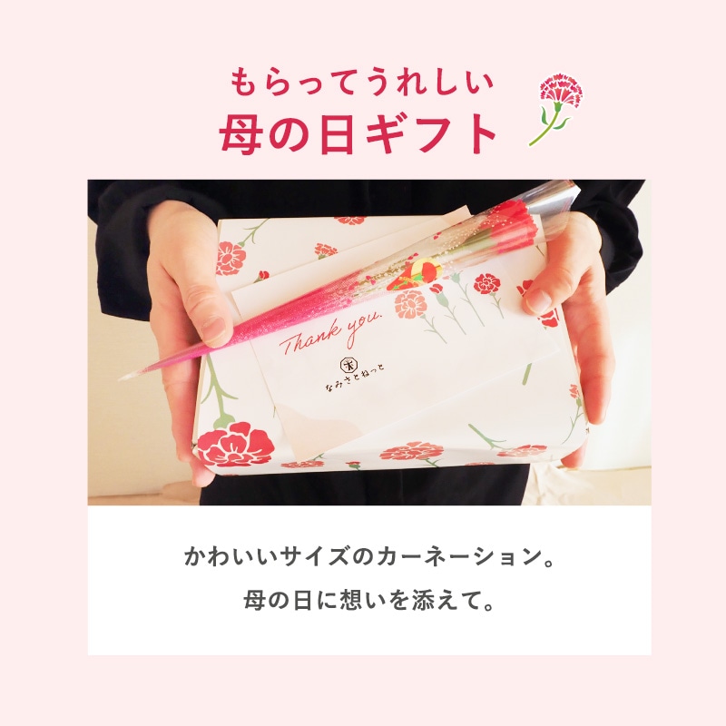 wrcdfa010