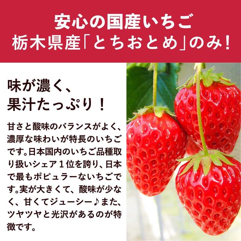 冷凍いちご とちおとめ 栃木県産 販売｜なみさとねっと 【株式会社波里