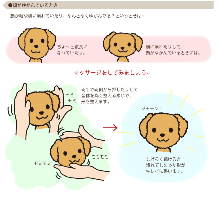 ぬいぐるみをさらに可愛くする方法 動物のぬいぐるみ おもちゃ 雑貨の通販 ベストエバージャパン本店