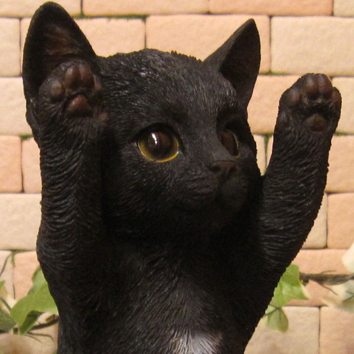 リアルなネコの置物　お願いキャット ３　ブラック　くろねこのフィギュア　黒猫オブジェ◇お部屋のインテリアにお庭のオーナメントとしても♪　-雑貨の森　 Ｋｉ・Ｒａ・Ｒａ