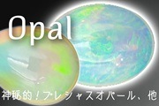 �������ԥ��󥪥ѡ���