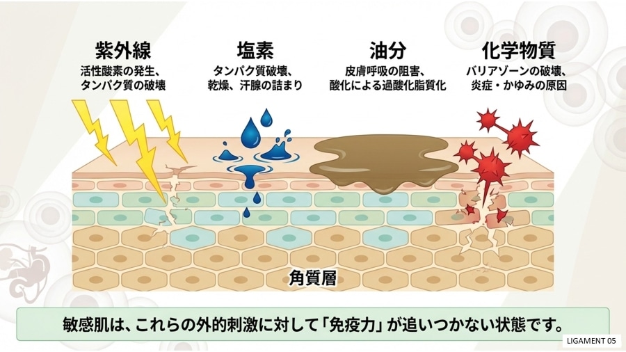 リガメェント化粧品とは　リガメェント化粧品って何