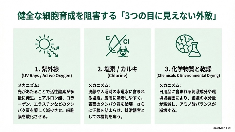 リガメェント化粧品とは　リガメェント化粧品って何