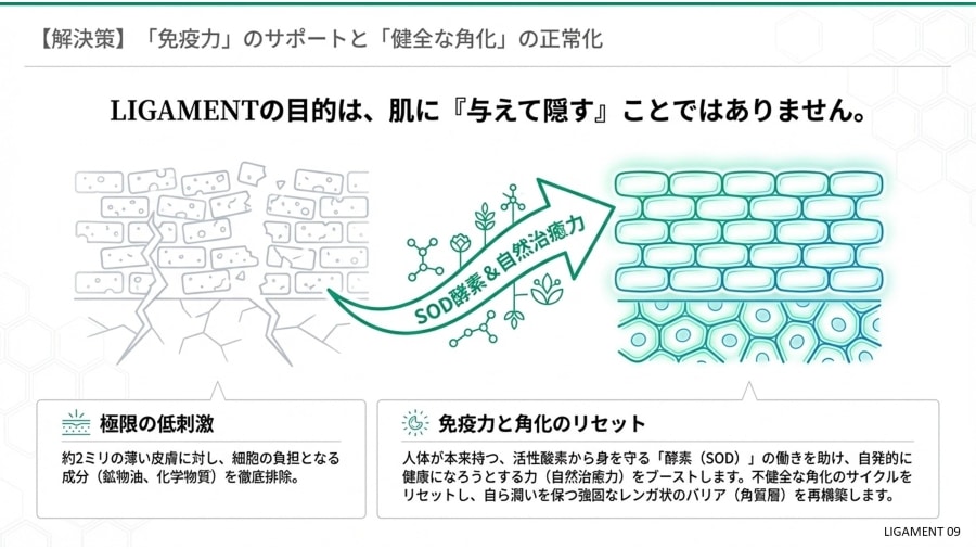 リガメェント化粧品とは　リガメェント化粧品って何
