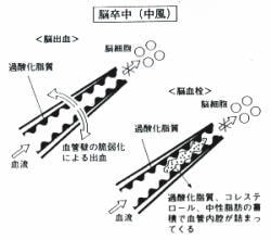 丹羽スペシャルSOD 1箱[初回限定30包プレゼント]90包+30包の合計120包