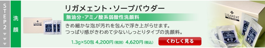 �����ץѥ������Τ�����