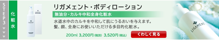 �ܥǥ����������Τ�����