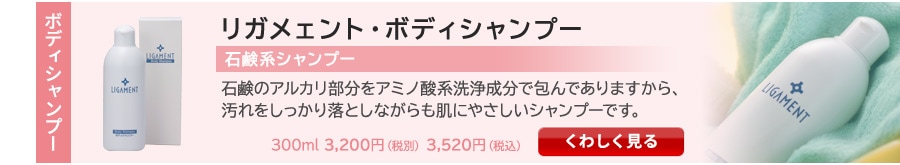 �ܥǥ������ס��Τ�����