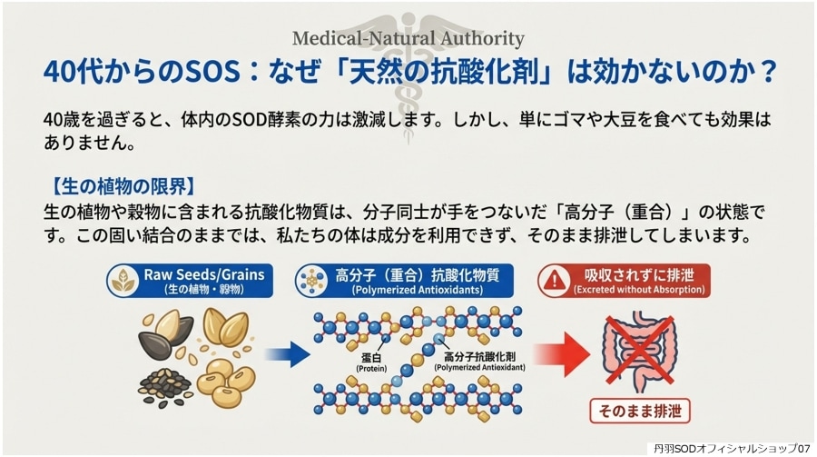 ð��SOD�Ȥϡ�ð��SOD�äƲ�07