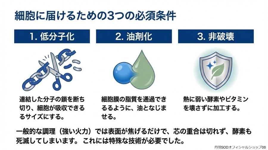 ð��SOD�Ȥϡ�ð��SOD�äƲ�08