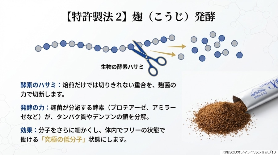 ð��SOD�Ȥϡ�ð��SOD�äƲ�10