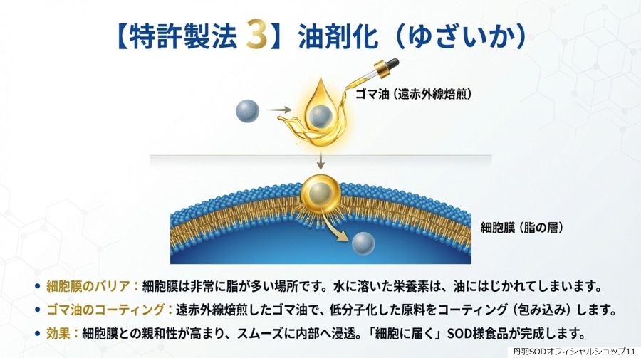 ð��SOD�Ȥϡ�ð��SOD�äƲ�11