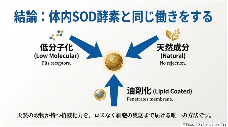 ð��SOD�Ȥϡ�ð��SOD�äƲ�13