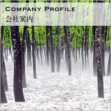 Company Profile����Ұ���