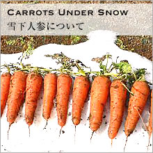 Carrots Under Snow���㲼�ͻ��ˤĤ���