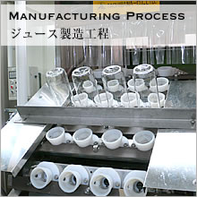 Manufacturing Process�����塼����¤����