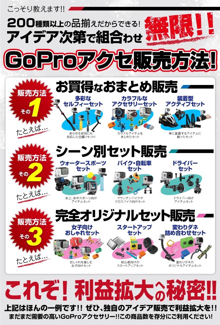 609円 非常に高い品質 GoPro ゴープロ アクセサリー LCDバックパック バックドア GP-0610 オンロード