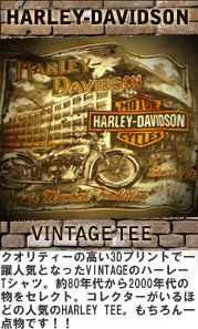 HARLEY DAVIDSON VINTAGE TEE