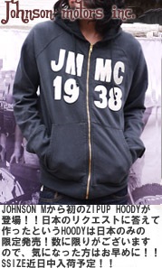 Johnson motors