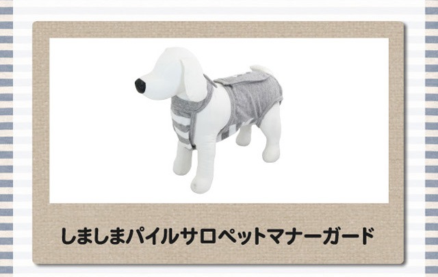 サロペット型マナーガード フルオブビガー｜老犬用品・ペット用品通販ならペットベリー