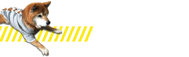 いぬらぼ 犬の介護服 カバーオール 老犬用品 ペット用品通販ならペットベリー