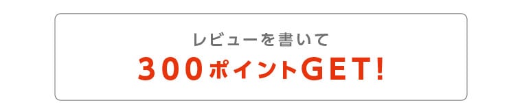 レビューを書いて300ポイントゲット