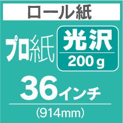 ロール紙