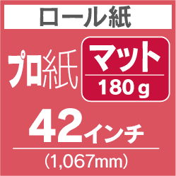 ロール紙