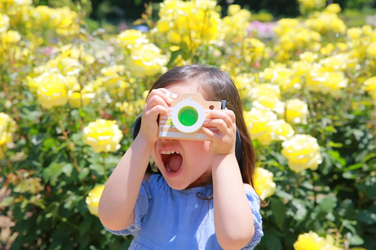 kiko+ キコ camera カメラ