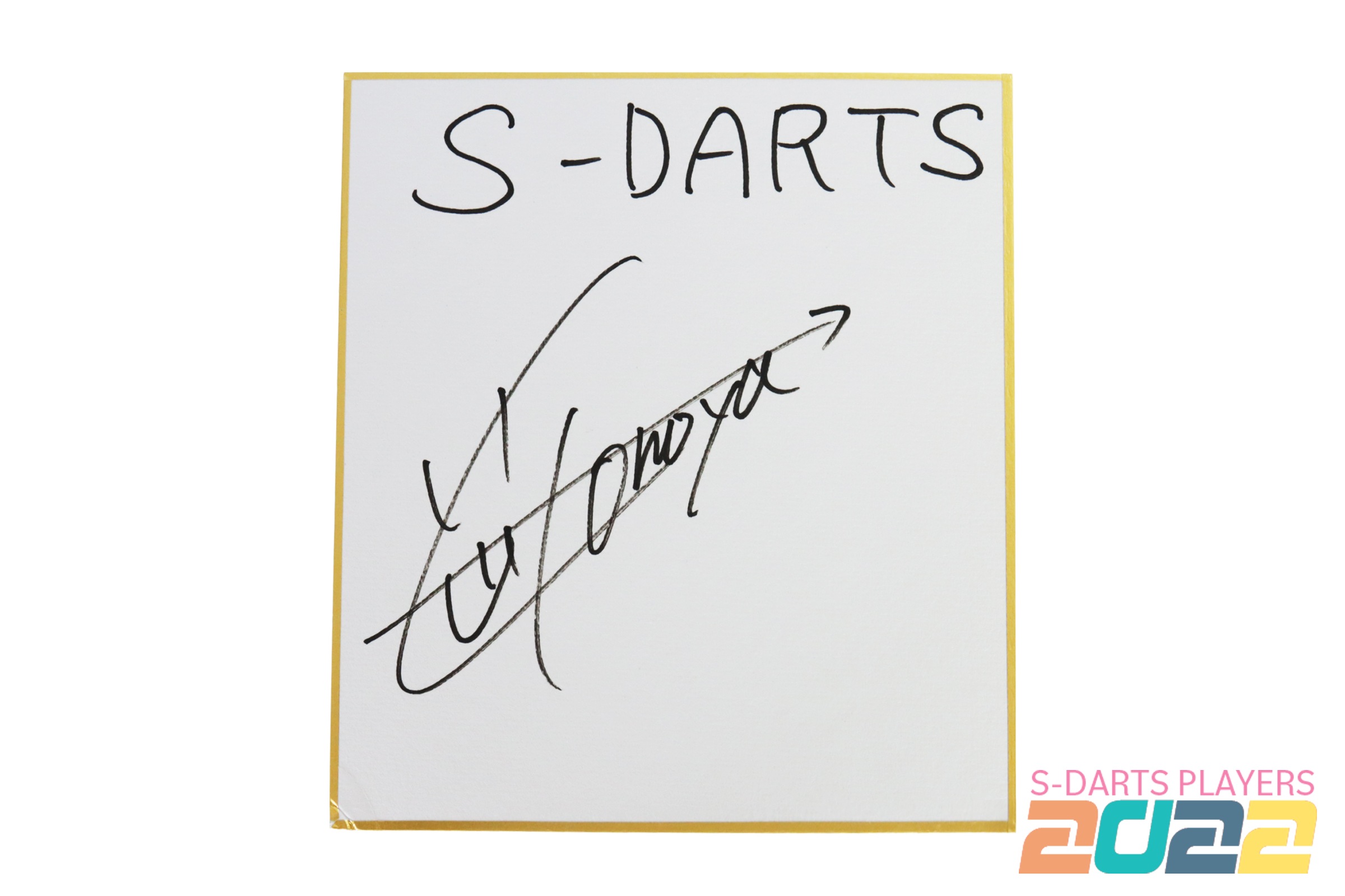 S-DARTS PLAYERS 2022ƣ 