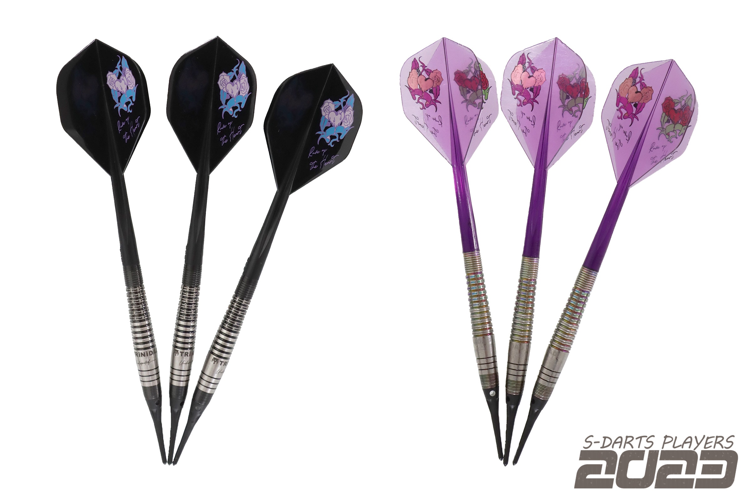 S-DARTS PLAYERS 2023┃星野 光正