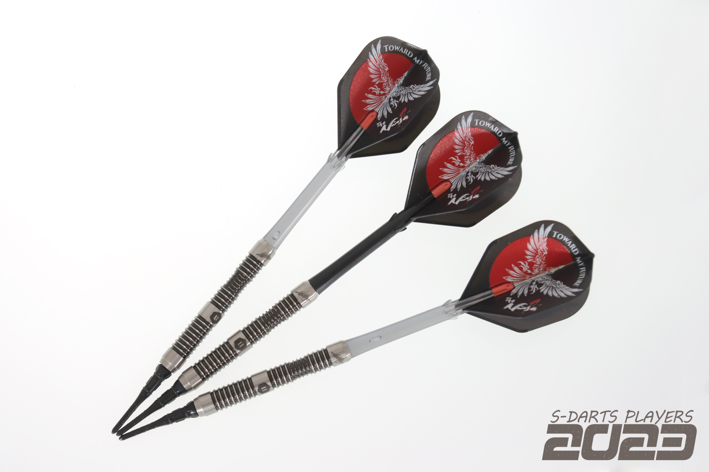 S-DARTS PLAYERS 2023┃浅田 斉吾