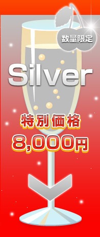 Silver / 8,000