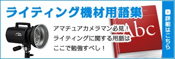 �饤�ƥ��󥰵����Ѹ콸