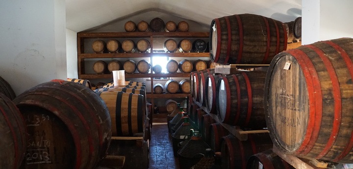 ロッソ ディ モンテプルチアーノ [ 2006 ] ファネッティ ( 赤ワイン