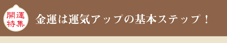 ���������ƥ� | �Ɀ���å��ý��Τ��Ҳ�