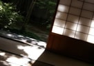 畳の上で、趣楽しむ日本の風習
