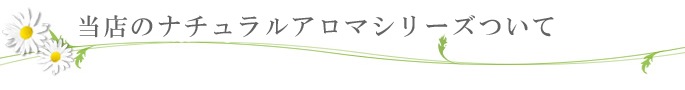 ��Ź�Υʥ����륢���ޥ��꡼���ˤĤ���