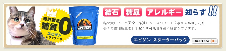�磻���󡡥��ԥ���