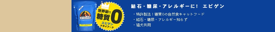 �磻���󡡥��ԥ���