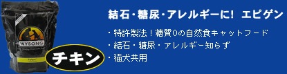 �磻���󡡥��ԥ���