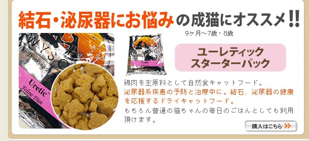 �桼��ƥ��å� �����������ѥå�