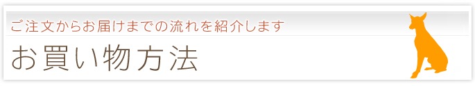 ���㤤ʪ��ˡ