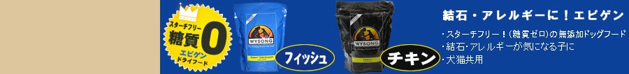�磻���󡡥��ԥ���