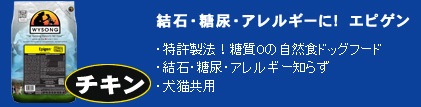 �磻���󡡥��ԥ���